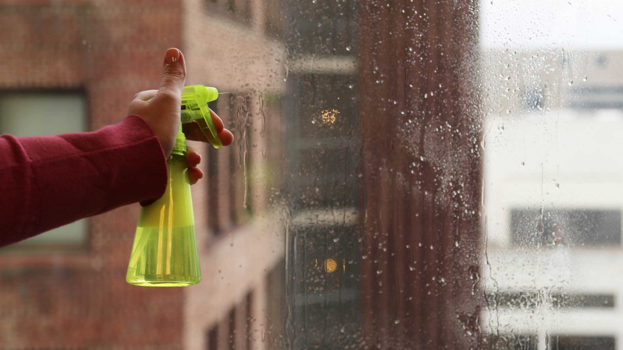 window film opportunities