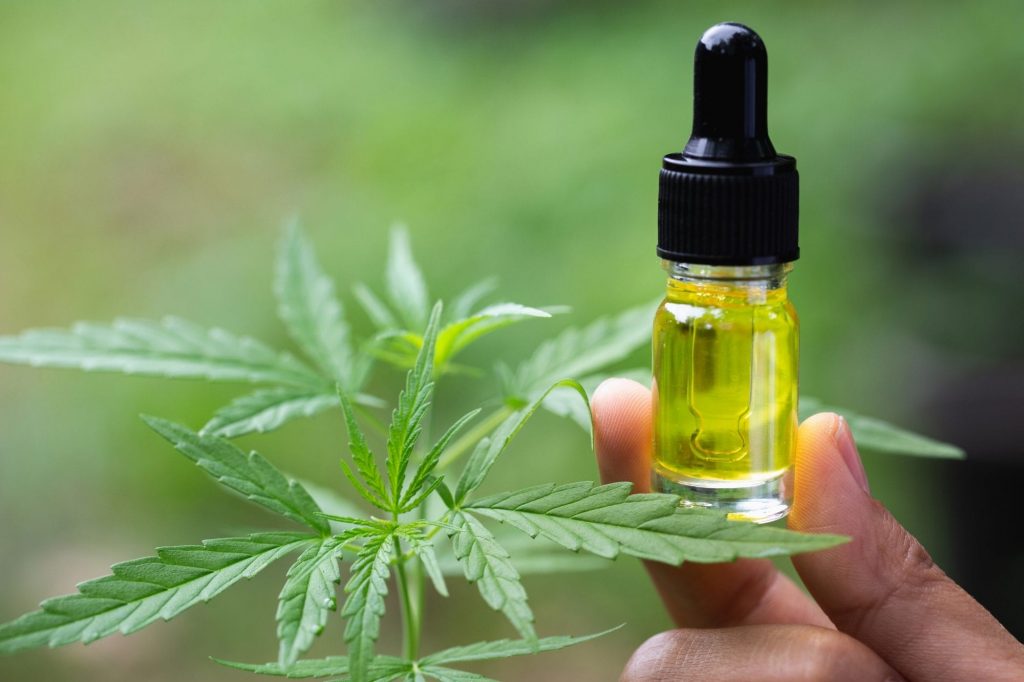 cbd dog treats